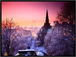 Budynki, Zima, Drzewa, Szkocja, Wielka Brytania, Kościół, Glasgow